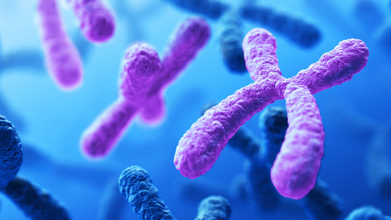 Genetics & Microbiome